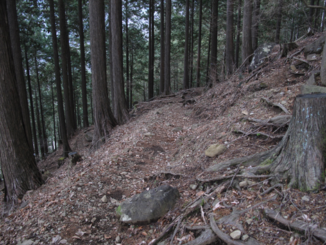 20160204hike (335)